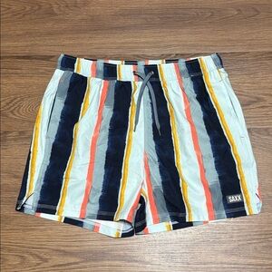 Saxx Multicolor Striped Men's Shorts
